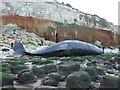 TF6741 : Dead sperm whale, Hunstanton - 04 by Richard Humphrey