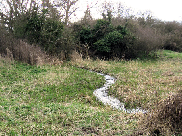 the-marshy-area-below-the-bridge-in-the-chris-reynolds-geograph