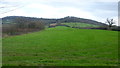 View to Gaer Wood