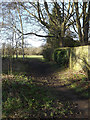 Path off Cravells Road onto Harpenden Common