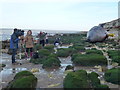 TF6741 : TV crew reporting on dead sperm whale at Hunstanton - 02 by Richard Humphrey