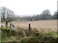 A stone gatepost, Burghill