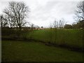 Fields on the edge of Brechin