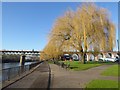 SO8454 : Riverside walk in Worcester by Philip Halling