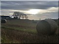 NZ1066 : Hay bales and stubble at Horsley Marsh by Anthony Foster