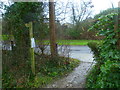 Footpath arrives at Old Guildford Road