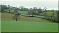 A slice of Monmouthshire farmland