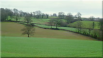SO4109 : A slice of Monmouthshire farmland by Jonathan Billinger