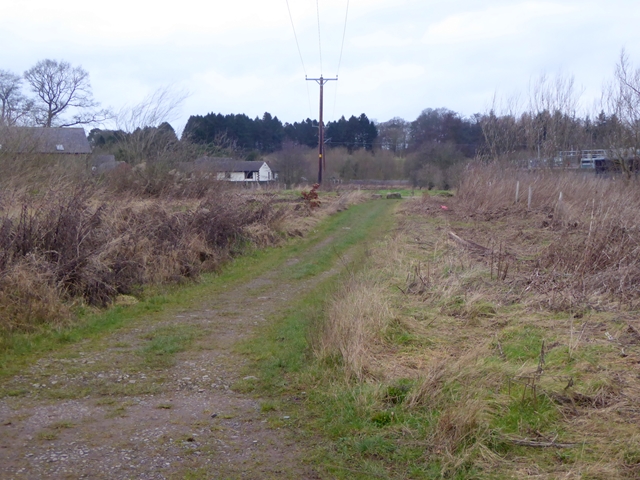 Dalston Hall Wood, Carlisle - area information, map, walks and more