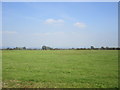 Grass field off Vole Road