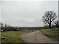 Track and field by Nutfield Marsh road