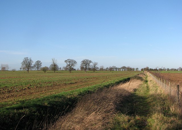 Bridle path to Longstanton