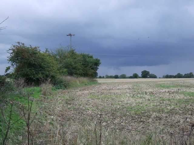 Farmland and hedgerow near Jockey's Farm