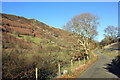 The valley near Dolfawr