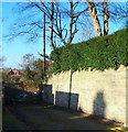 Old Sookholme Lane, Market Warsop, Notts.