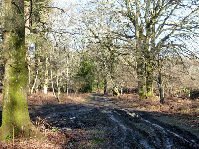 Muddy track, Stanley Common © Robin Webster cc-by-sa/2.0 :: Geograph ...