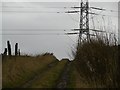 Pylon, Angus Hill