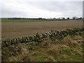 Stubble, Aberlemno