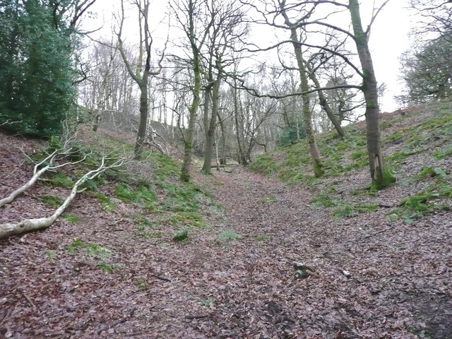 Footpath in a dry valley, Honley Wood, Meltham