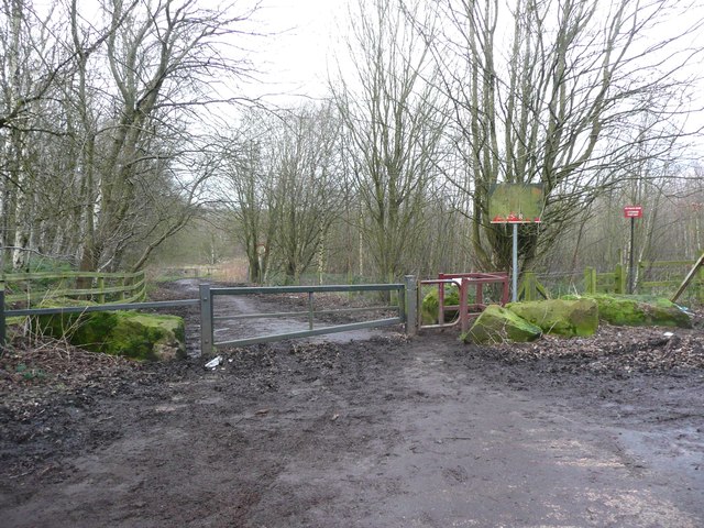 Entrance to Honley Old Wood