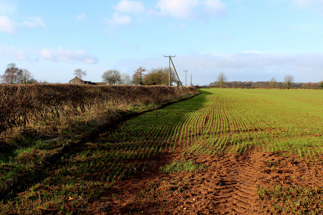 Field beside Holme Farm Lane