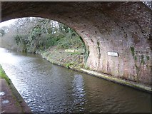 ST0013 : Underneath Sellake Bridge on Grand Western Canal by David Smith