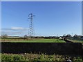 Pylon and lines near Brook Farm, North Petherton