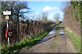 Public Footpath, Edingley