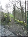 Footpath off Mill Lane, Warley