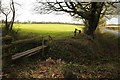 Footbridge over a ditch