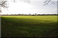 Farmland at Oaksey