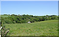 Pasture and woodland near Philham, Devon