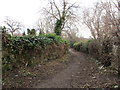 Footpath to the allotments