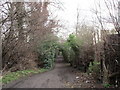 Footpath by the allotments