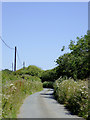 Lane to Philham in Devon