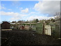 Allotments at Handsworth