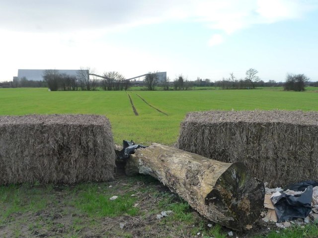 Farmland, Fenton Common