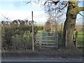 Footpath off Groby Road