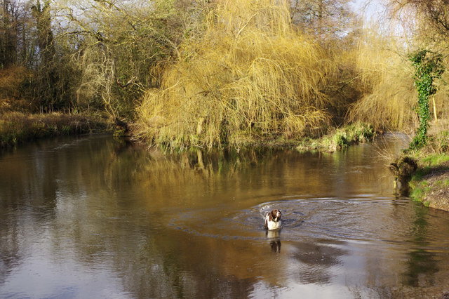 River Gade, Cassiobury Park © Stephen McKay cc-by-sa/2.0 :: Geograph Britain and Ireland