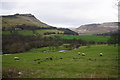 Sheep in the Chew Valley