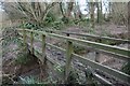 Footbridge showing refuse from flooded River Brit, Beaminster