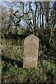 Milestone on A356: Maiden Newton 7; Crewkerne 6