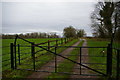 Red Lane, leading into Nymans Woods