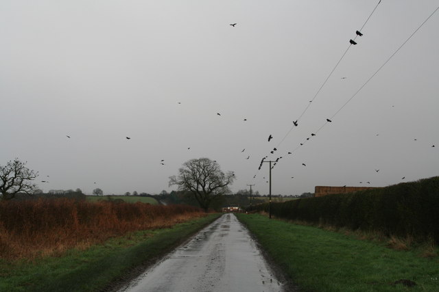 Blowing crows on Carr Lane, Hotham Carrs