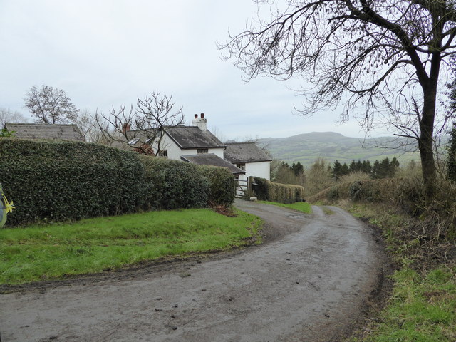 Lane near Bishop's Castle, Shropshire