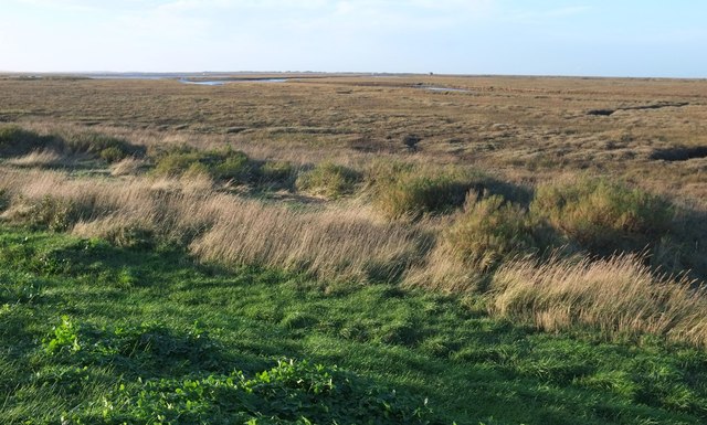 Marshland around the Glaven estuary