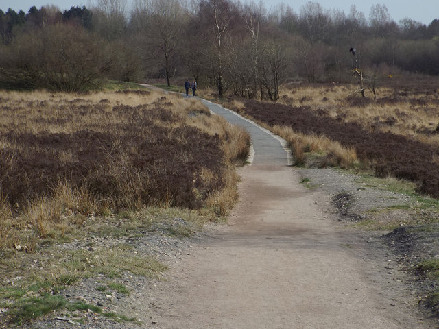 Start of a boardwalk over the heathland, Chasewater