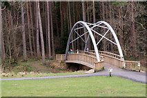 NZ0931 : Bridge over Bedburn Beck at Hamsterley Forest by Trevor Littlewood