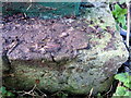 Rivet bench mark by the steps over the railway line