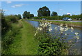 North along the Trent & Mersey Canal towpath